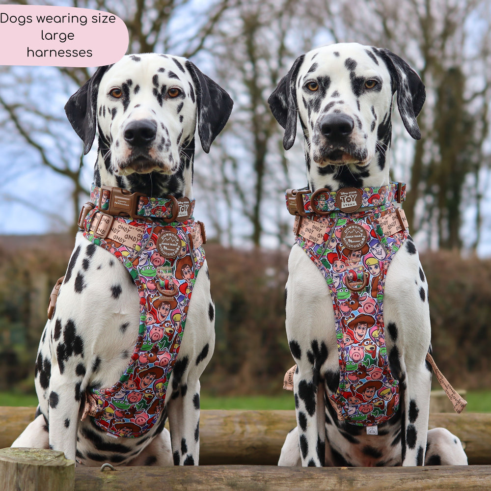 Disney© Tough Trails™ Harness - Toy Story Friends