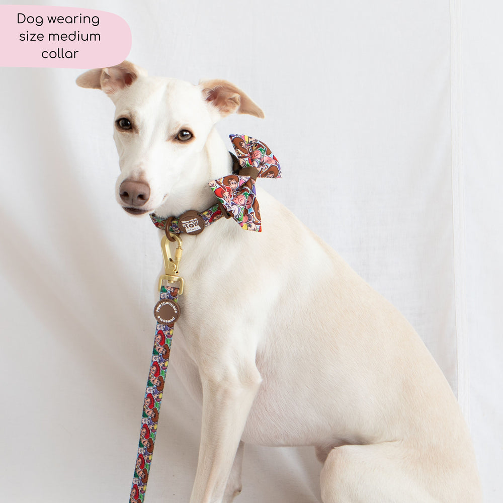 Disney© Collar - Toy Story Friends