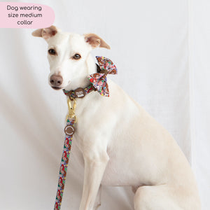 Disney© Collar - Toy Story Friends