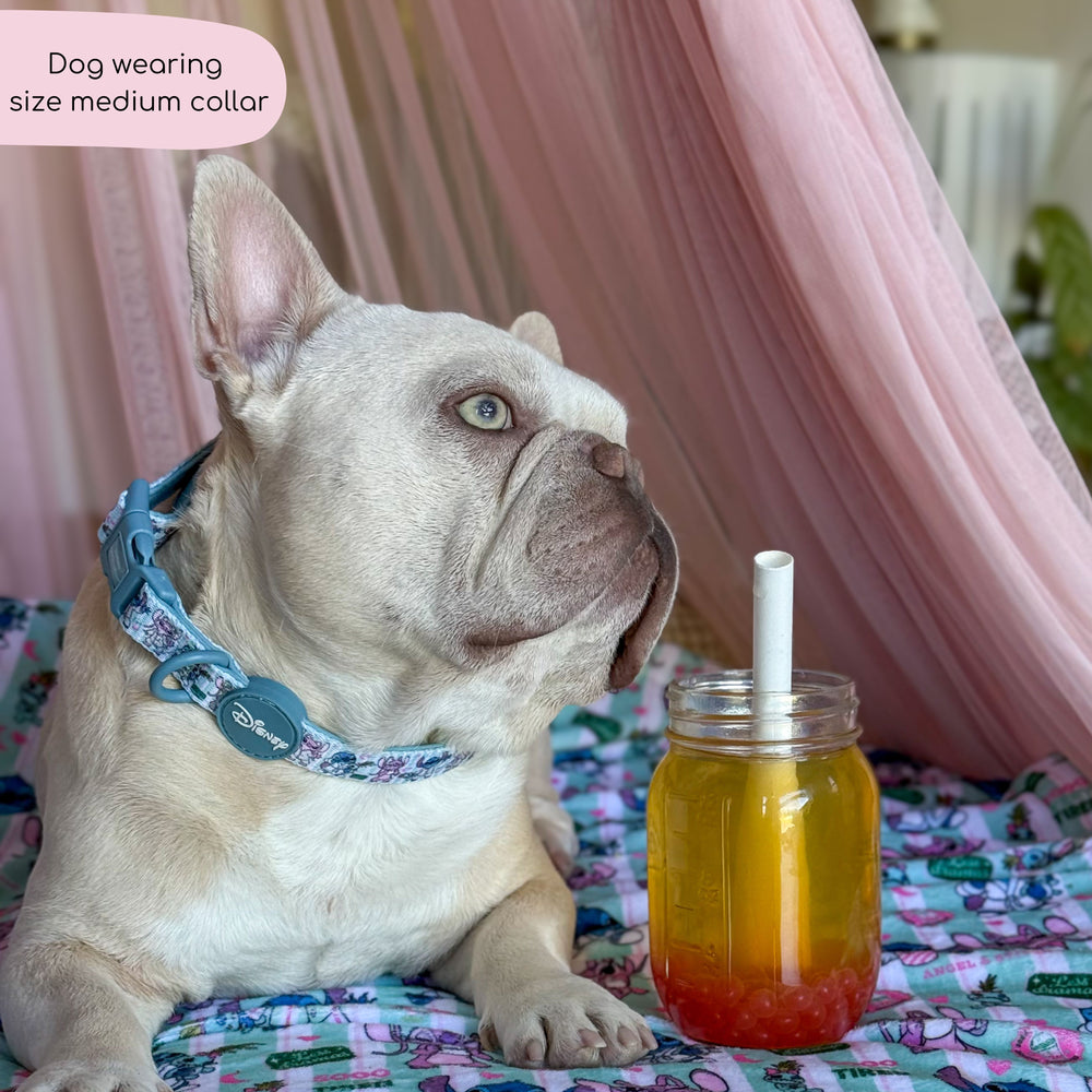 Disney© Collar - Stitch's Slumber Party