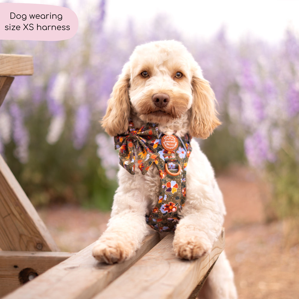 Tough Trails™ Harness - Rust & Bloom