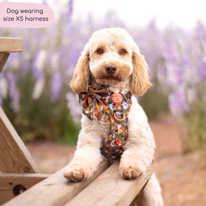 Tough Trails™ Harness - Rust & Bloom