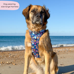 Disney© Tough Trails™ Harness - Alice In Wonderland