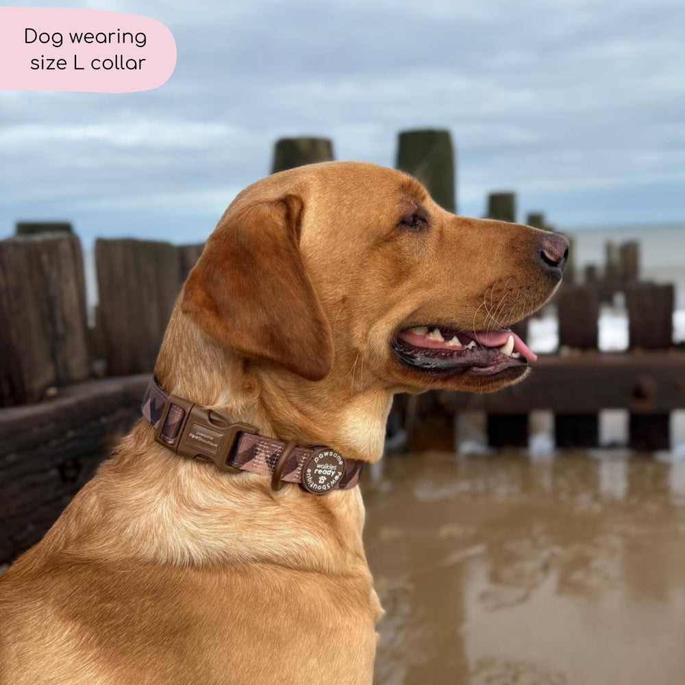 Collar – Walkies Ready® Chocolate Brown