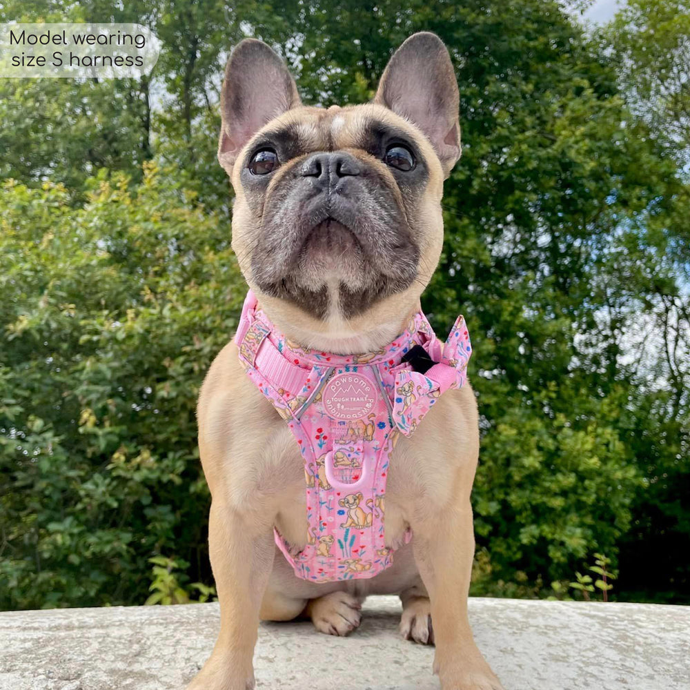 Disney© Tough Trails™ Harness - Nala