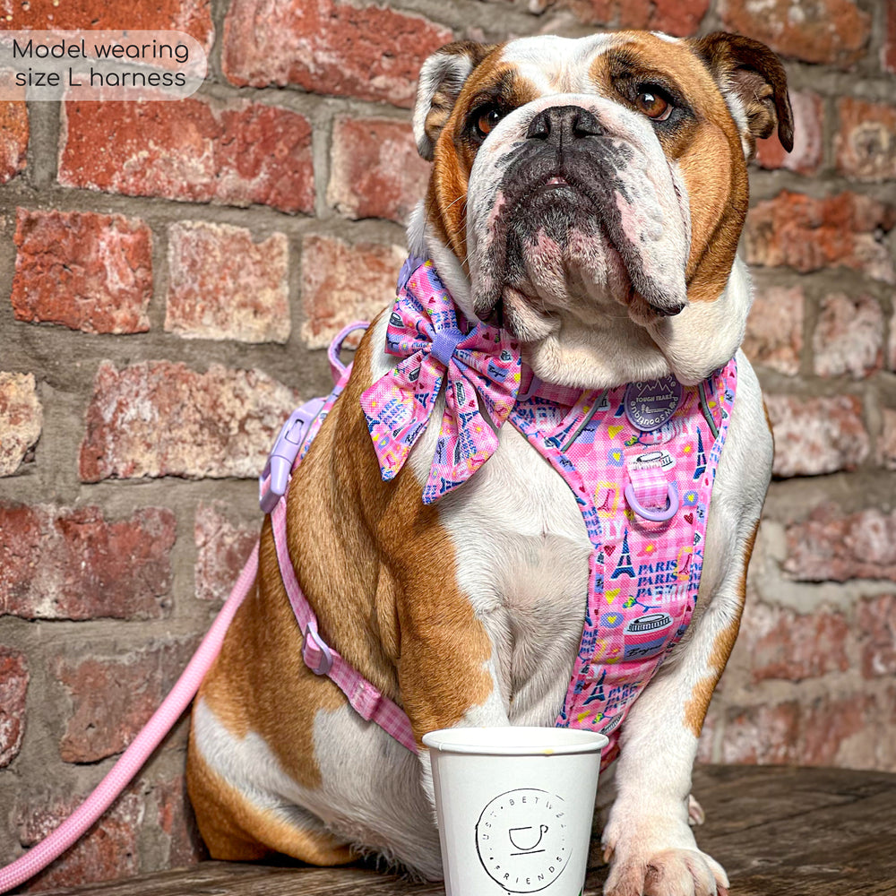 Tough Trails™ Harness - Emily In Paris