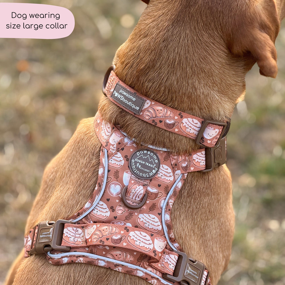 Collar - Cinnamon Spice