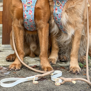 Disney© 4ft Rope Lead - Winnie The Pooh - Beige and Brown