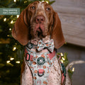 Tough Trails™ Harness -  Milk & Cookies