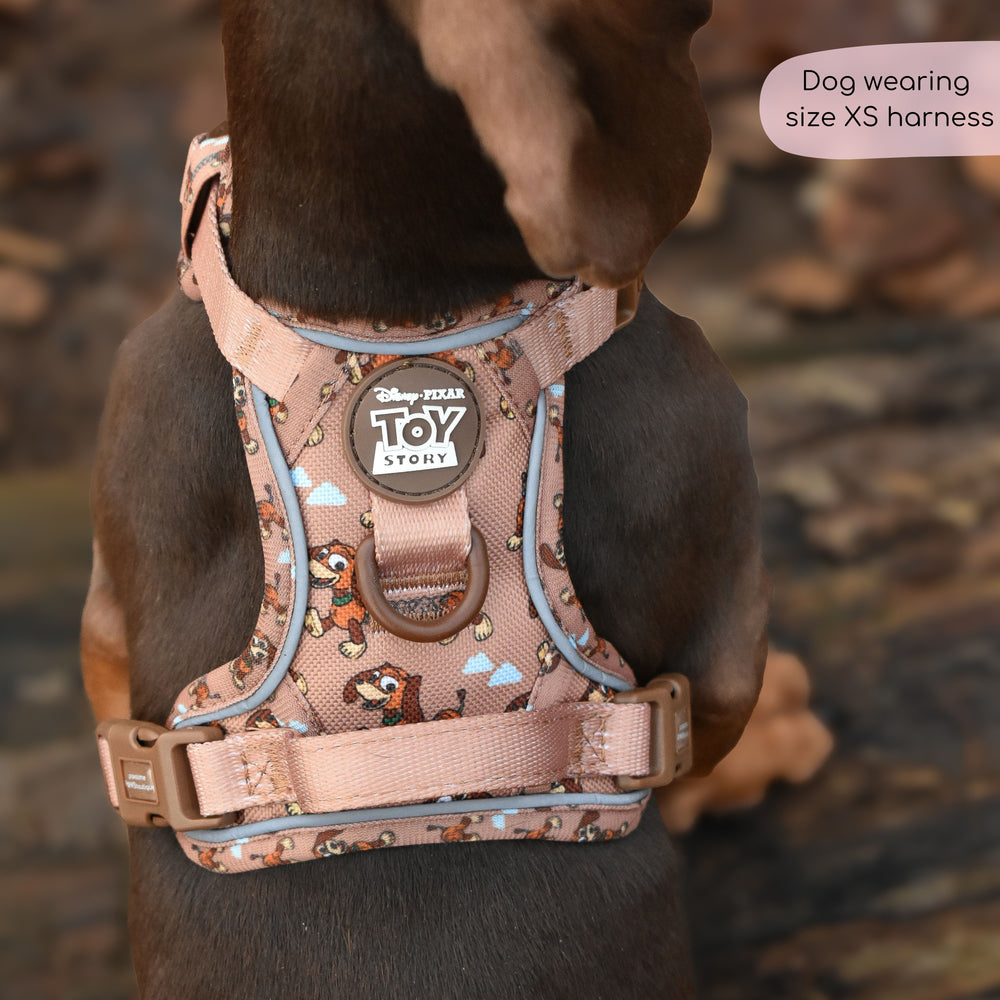 Disney© Tough Trails™ Harness - Slinky