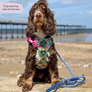Tough Trails™ Harness -  Patchwork