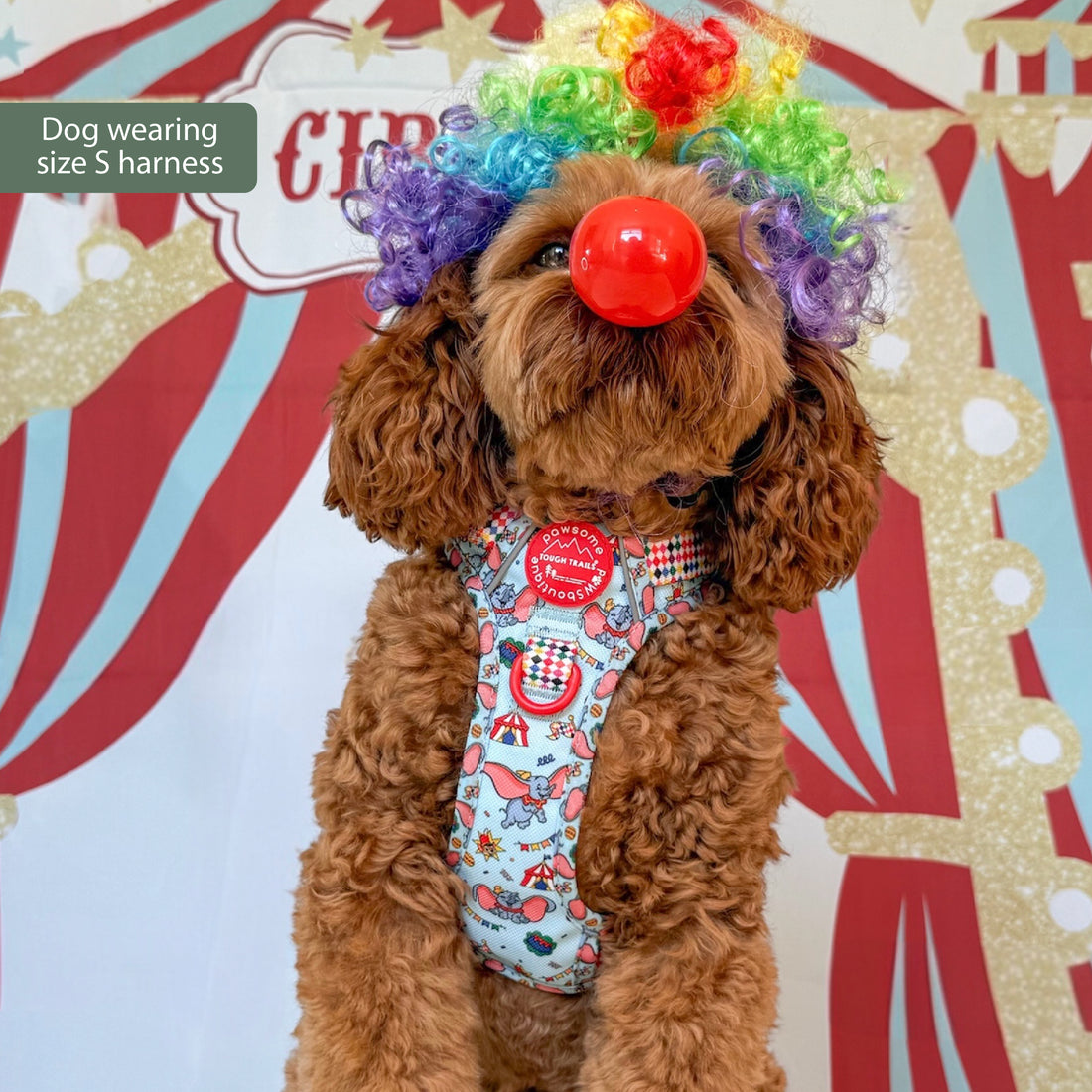 Disney© Tough Trails™ Harness - Dumbo