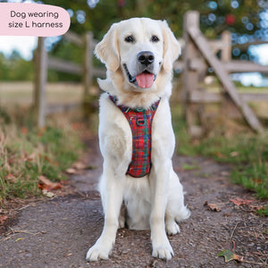 Tough Trails™ Harness - Yuletide Plaid