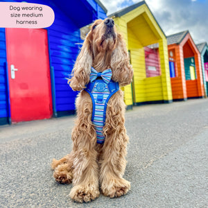 Tough Trails™ Harness -  Sailor Stripes