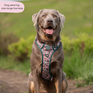 Tough Trails™ Harness -  Adventure Awaits