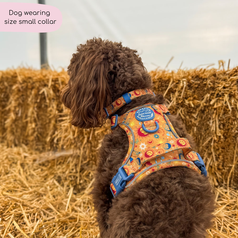 Collar - Celestial Spirit