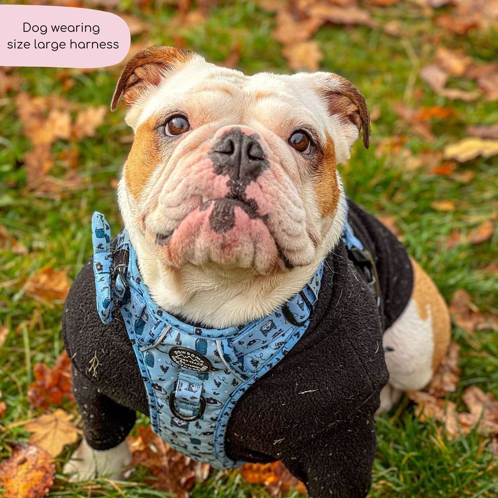 Tough Trails™ Harness - Reuben's Roadtrip