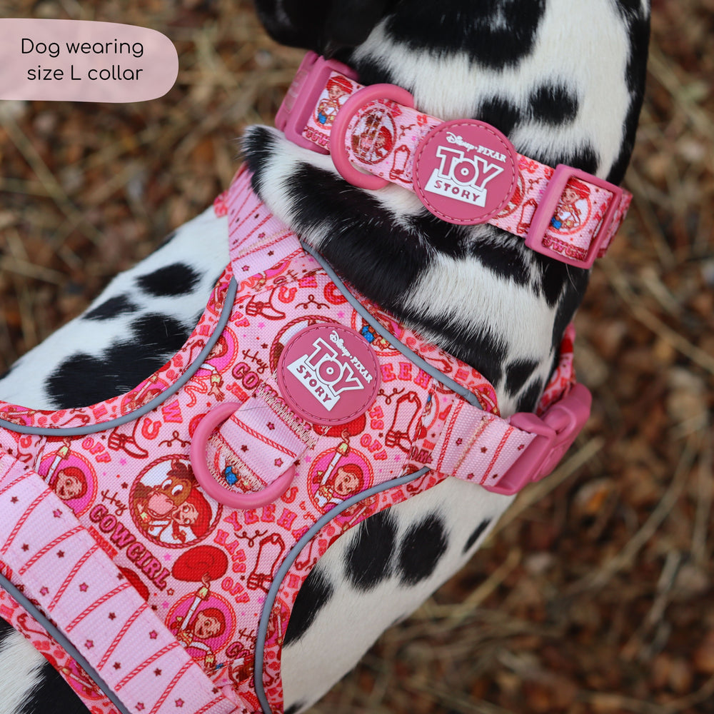 Disney© Collar - Jessie