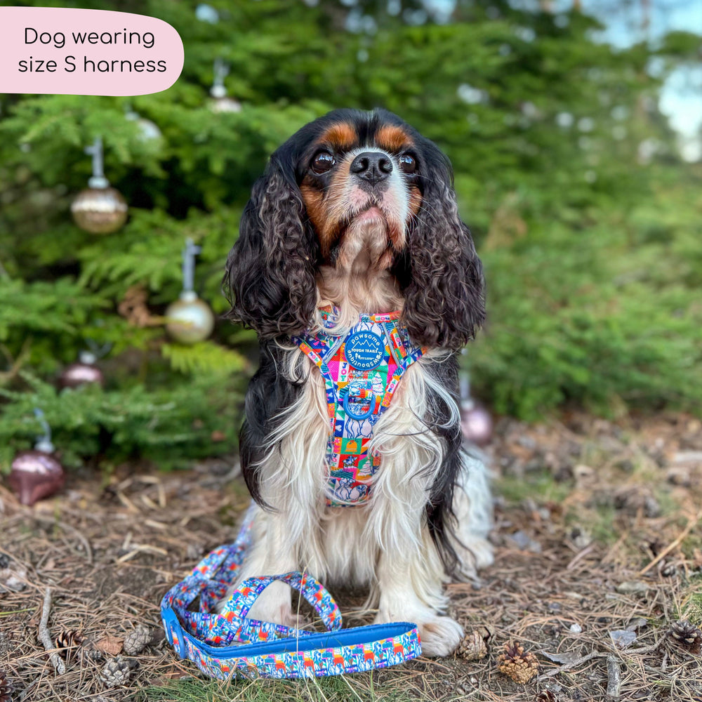 Disney© Tough Trails™ Harness - Lady + The Tramp