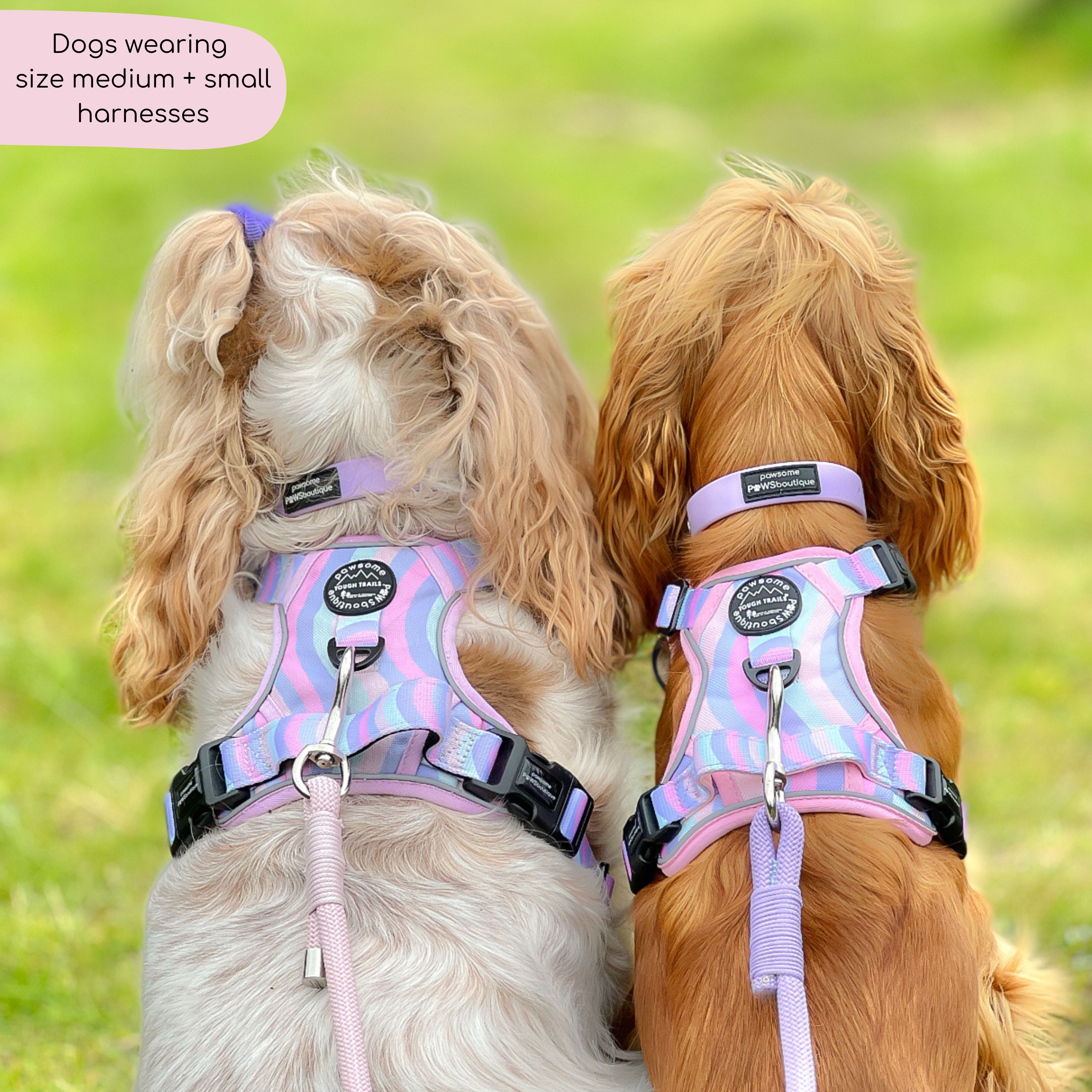 Tough Trails™ Harness - PPB Pastel Swirl – Pawsome Paws Boutique