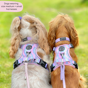 Tough Trails™ Harness - PPB Pastel Swirl