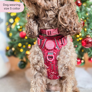 Collar - Bows Of Joy