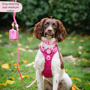 Waterproof Collar - Walkies Ready® Raspberry Pink