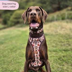 Collar - Snuggle Season