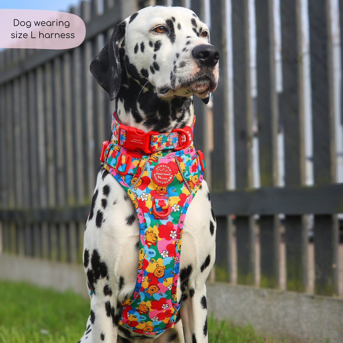 Disney© Tough Trails™ Harness - Winnie Goes Retro