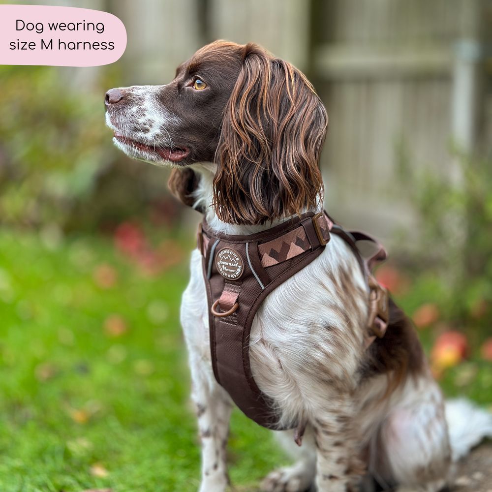 Tough Trails™ Harness - Walkies Ready® Chocolate Brown