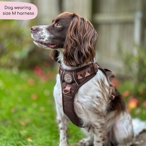 Tough Trails™ Harness - Walkies Ready® Chocolate Brown