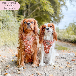 Tough Trails™ Harness - Cinnamon Spice