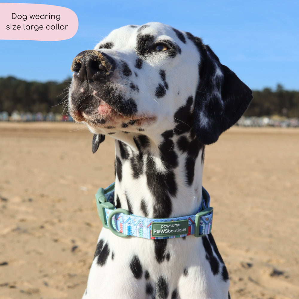 Collar - Sandy Shores