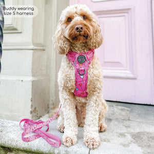 Tough Trails™ Harness - Candypop