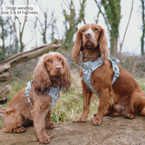 Disney© Tough Trails™ Harness - 100 Aker Wood