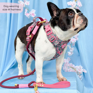 Tough Trails™ Harness -  Cherry Blossom