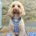 Disney© Tough Trails™ Harness -  Winnie + Friends