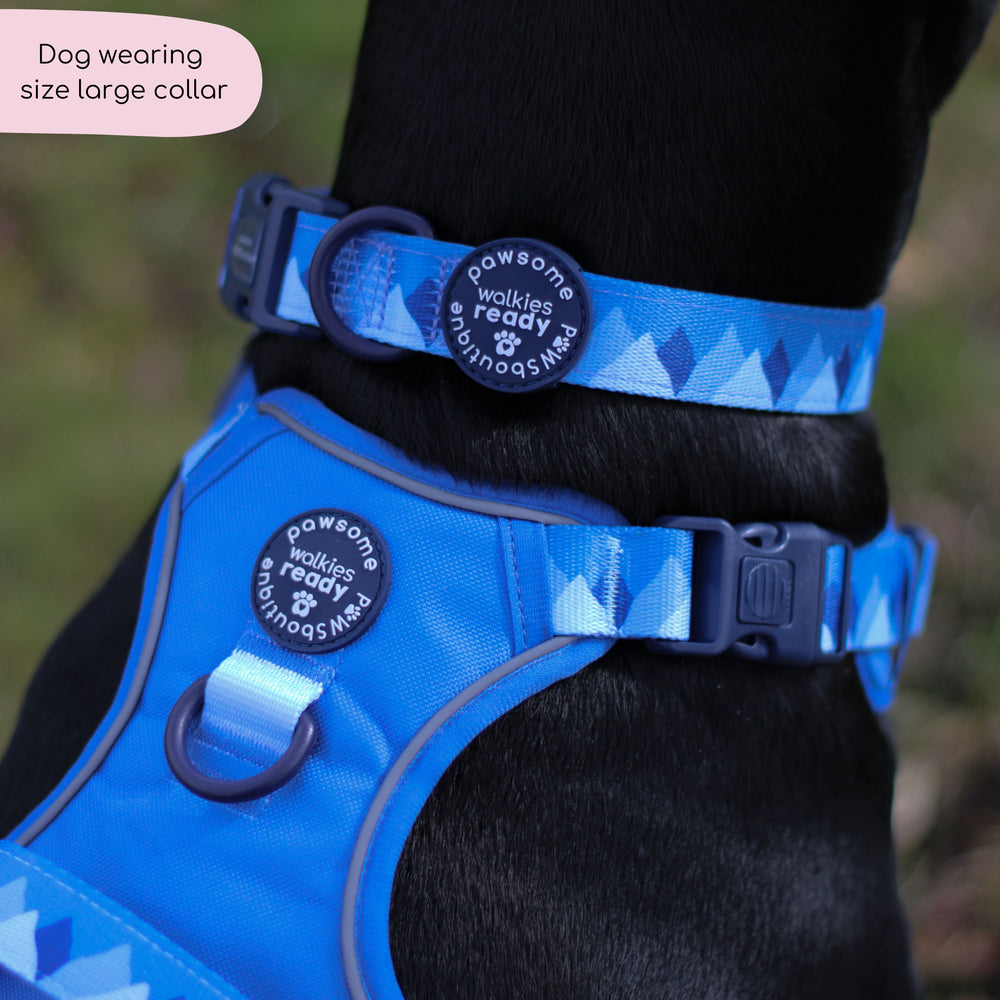 Collar - Walkies Ready® Cornflower Blue