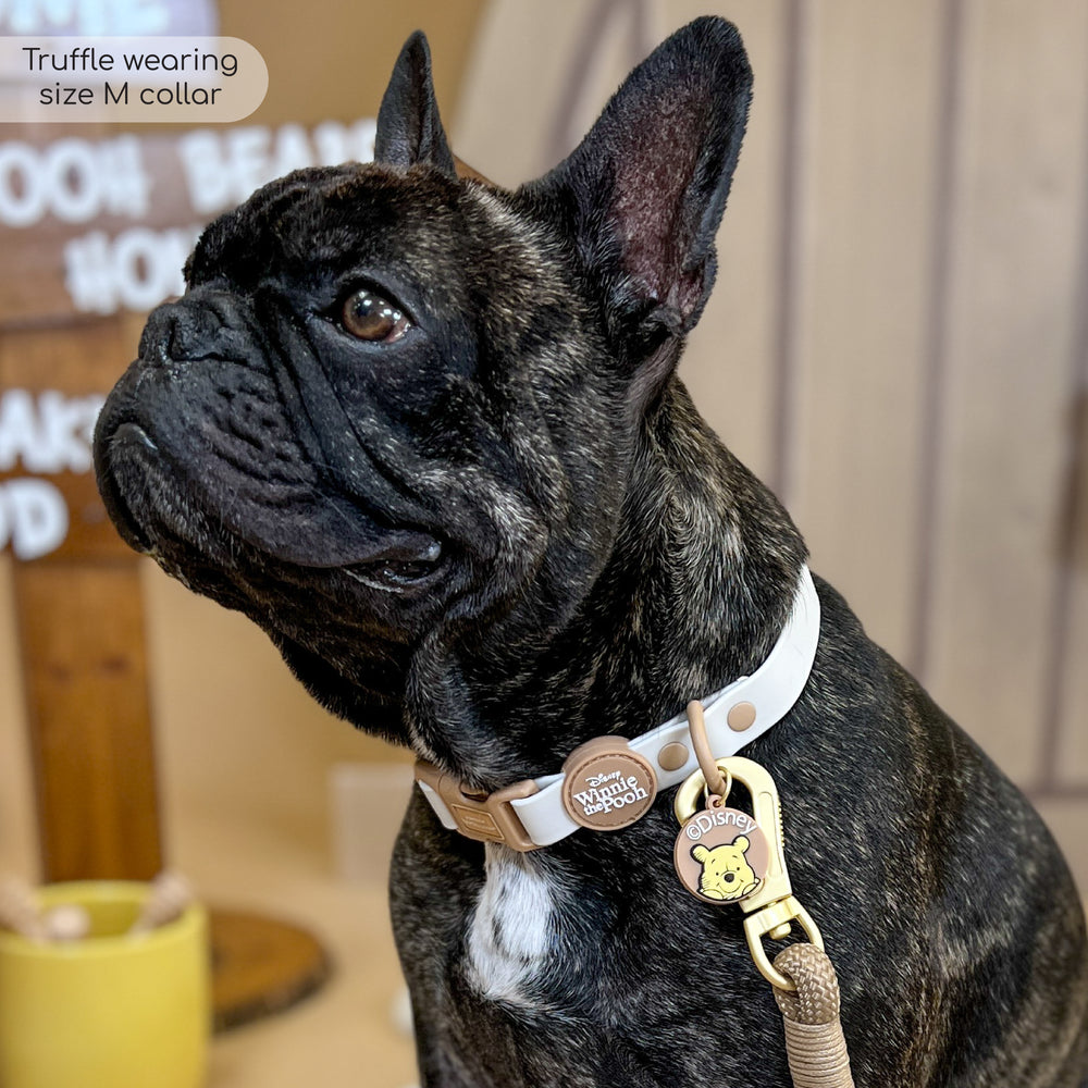 Disney© Waterproof Collar - Winnie The Pooh