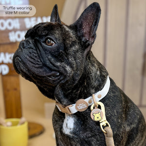 Disney© Waterproof Collar - Winnie The Pooh