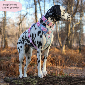 Disney© Collar - Mad Hatters Tea Party