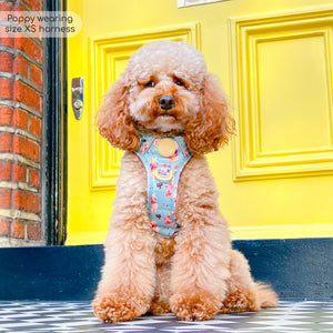 Disney© Tough Trails™ Harness - Winnie The Pooh