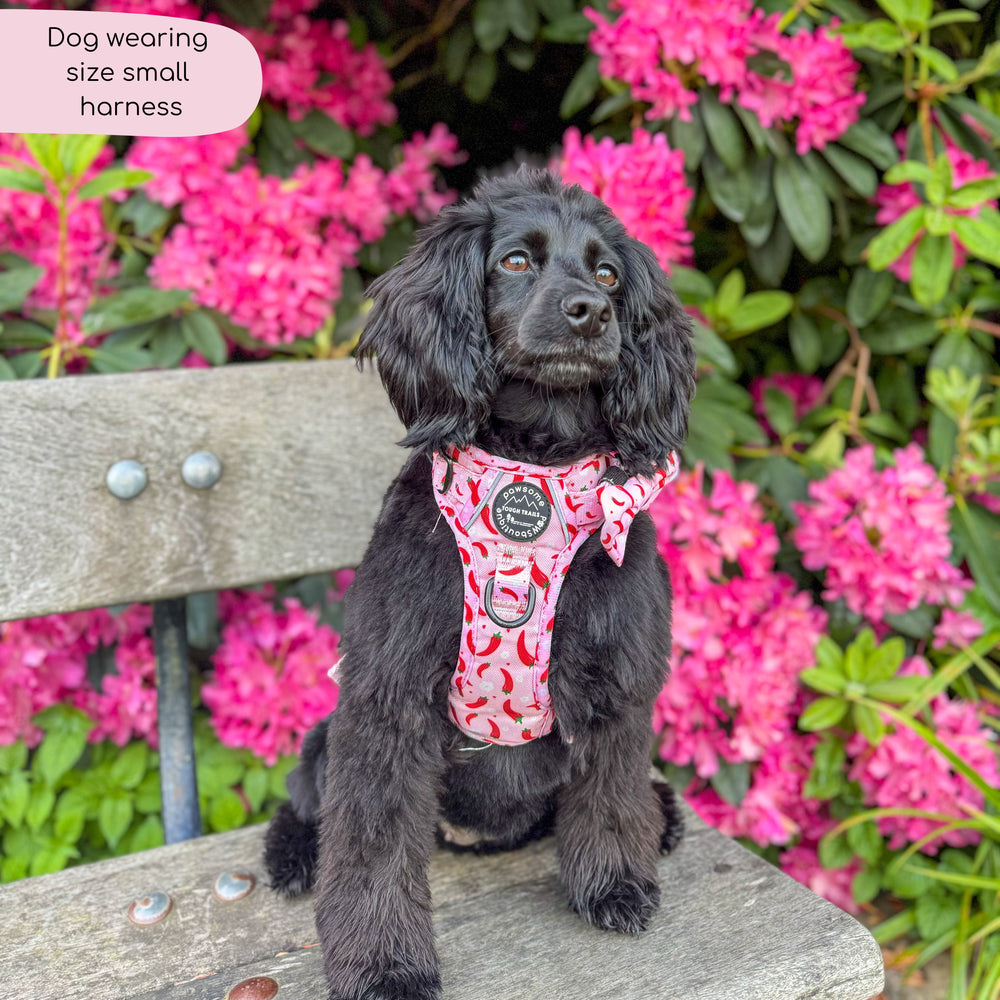 Tough Trails™ Harness - Chilli Dog
