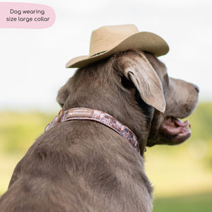 Collar - Cowboy
