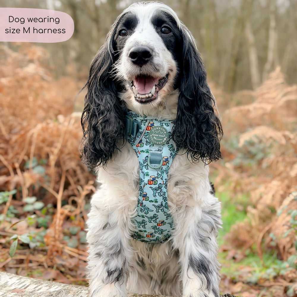 Disney© Tough Trails™ Harness - Rex