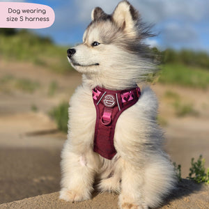 Tough Trails™ Harness - Walkies Ready® Mulberry
