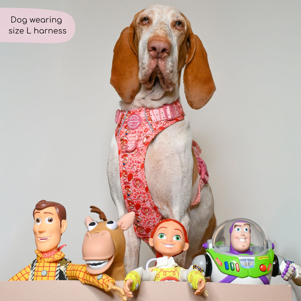 Disney© Tough Trails™ Harness - Jessie