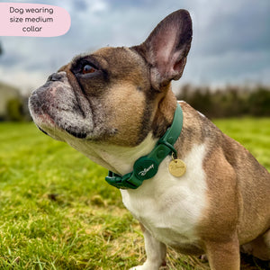 Disney© Waterproof Collar - Jungle Book