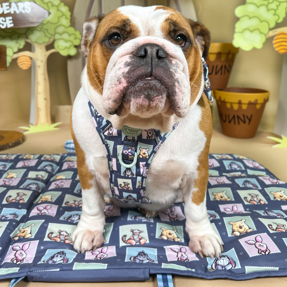 Disney© Travel Mat - Winnie + Friends