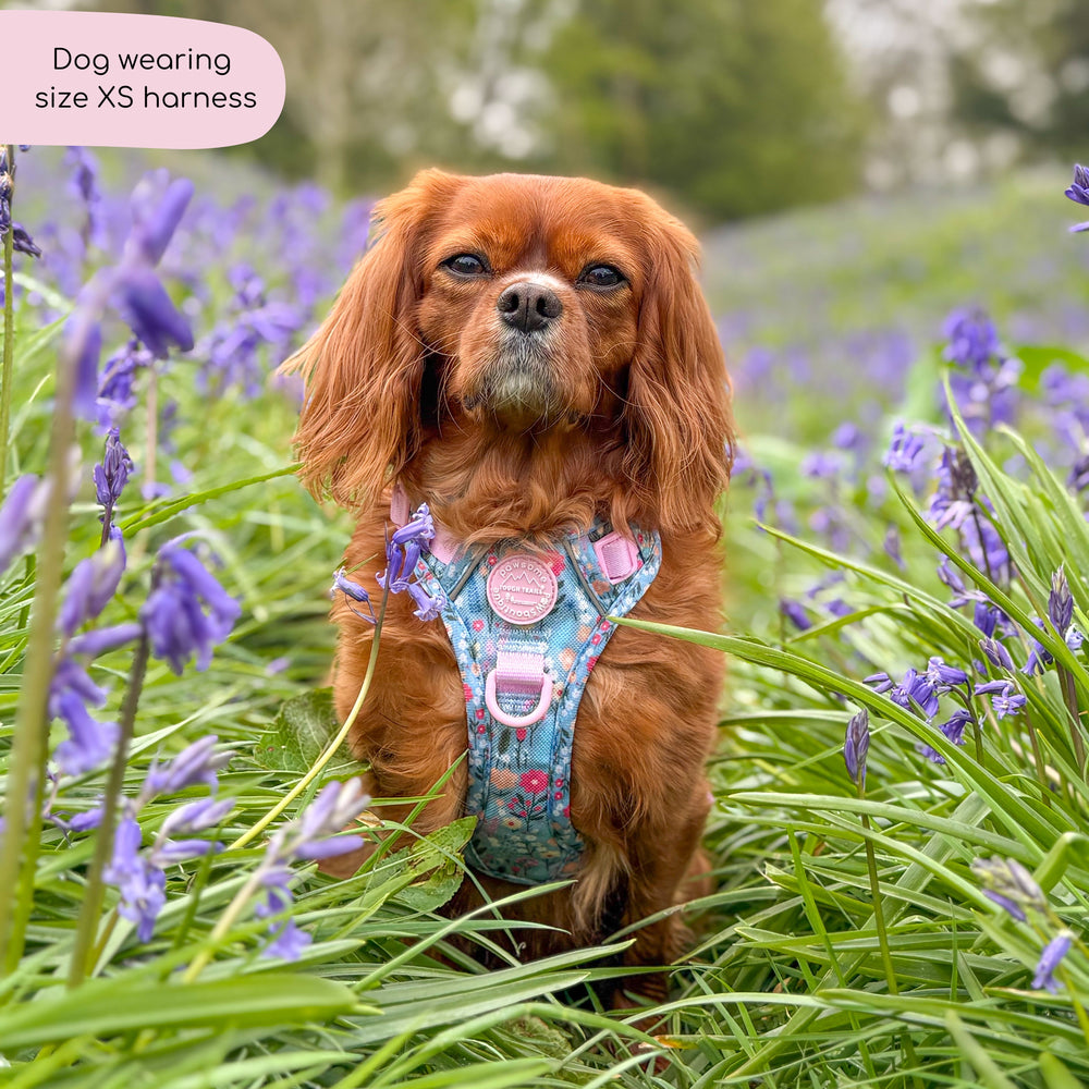 Tough Trails™ Harness -  Whimsical Wildflowers